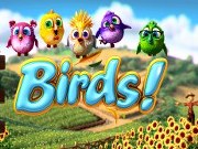 birds