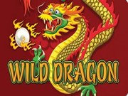 wild dragon