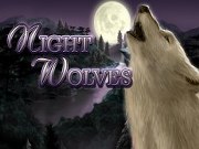 night wolves
