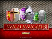 wild knights