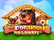 dog house megaways