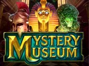 Mystery Museum